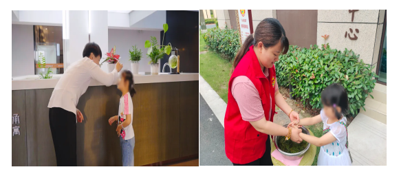 首页- 尊龙集团中国官网入口