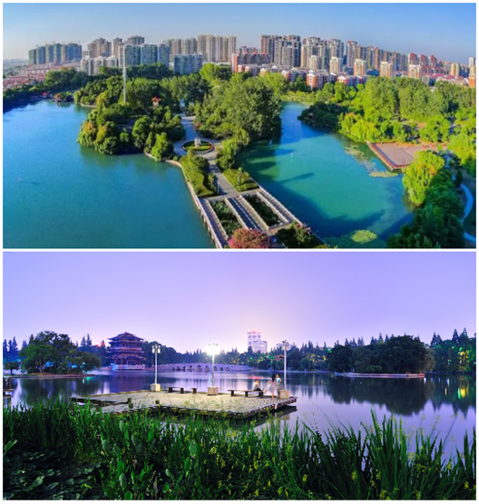 首页- 尊龙集团中国官网入口