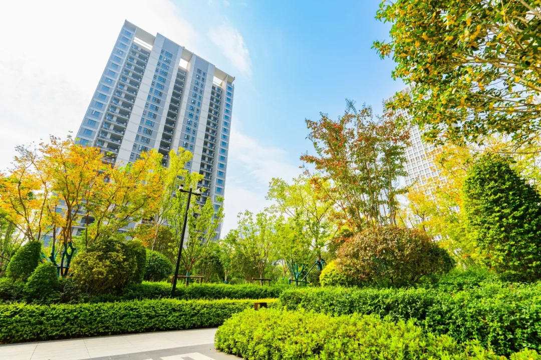 首页- 尊龙集团中国官网入口